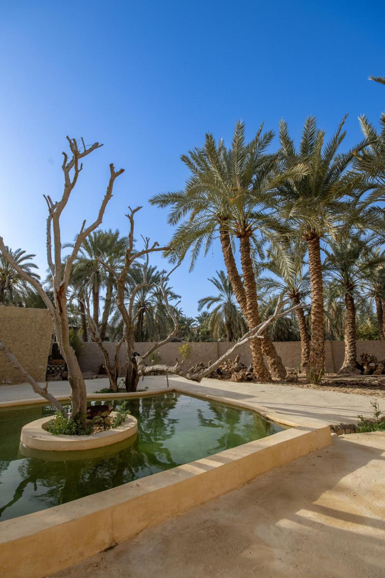 Hostel Olive Garden House Siwa Siwa Oasis Exterior foto