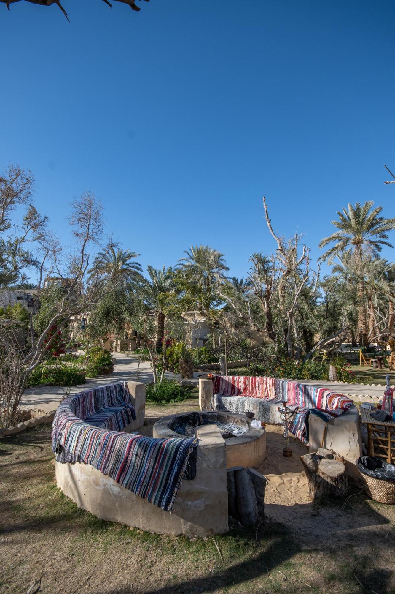 Hostel Olive Garden House Siwa Siwa Oasis Exterior foto