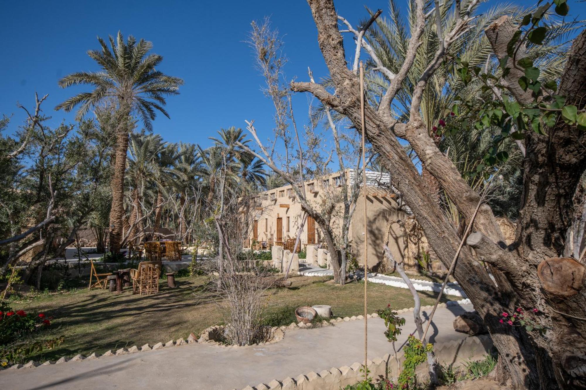 Hostel Olive Garden House Siwa Siwa Oasis Exterior foto