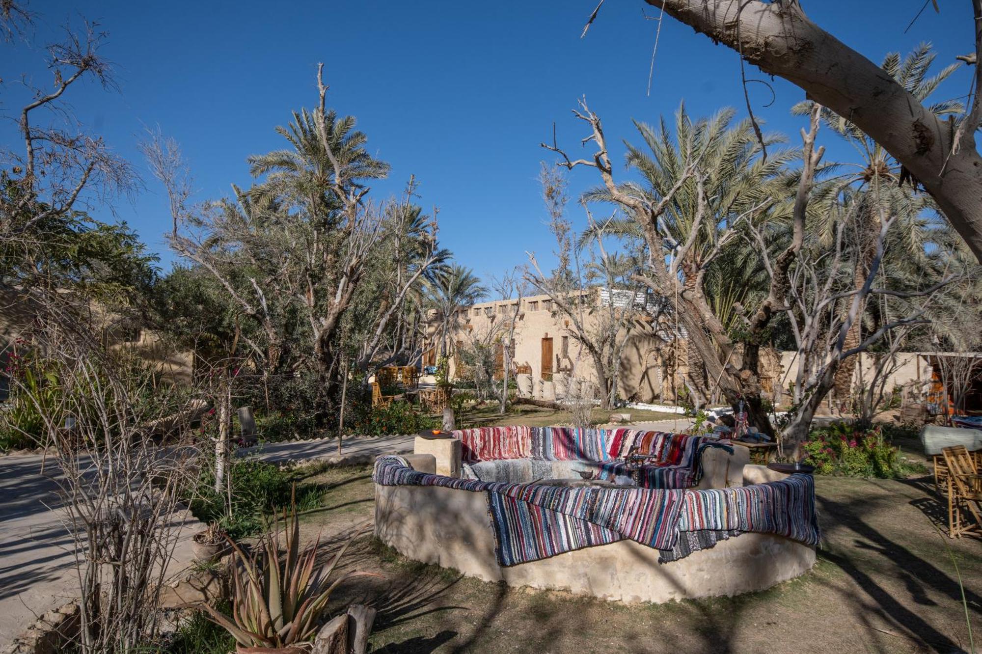 Hostel Olive Garden House Siwa Siwa Oasis Exterior foto