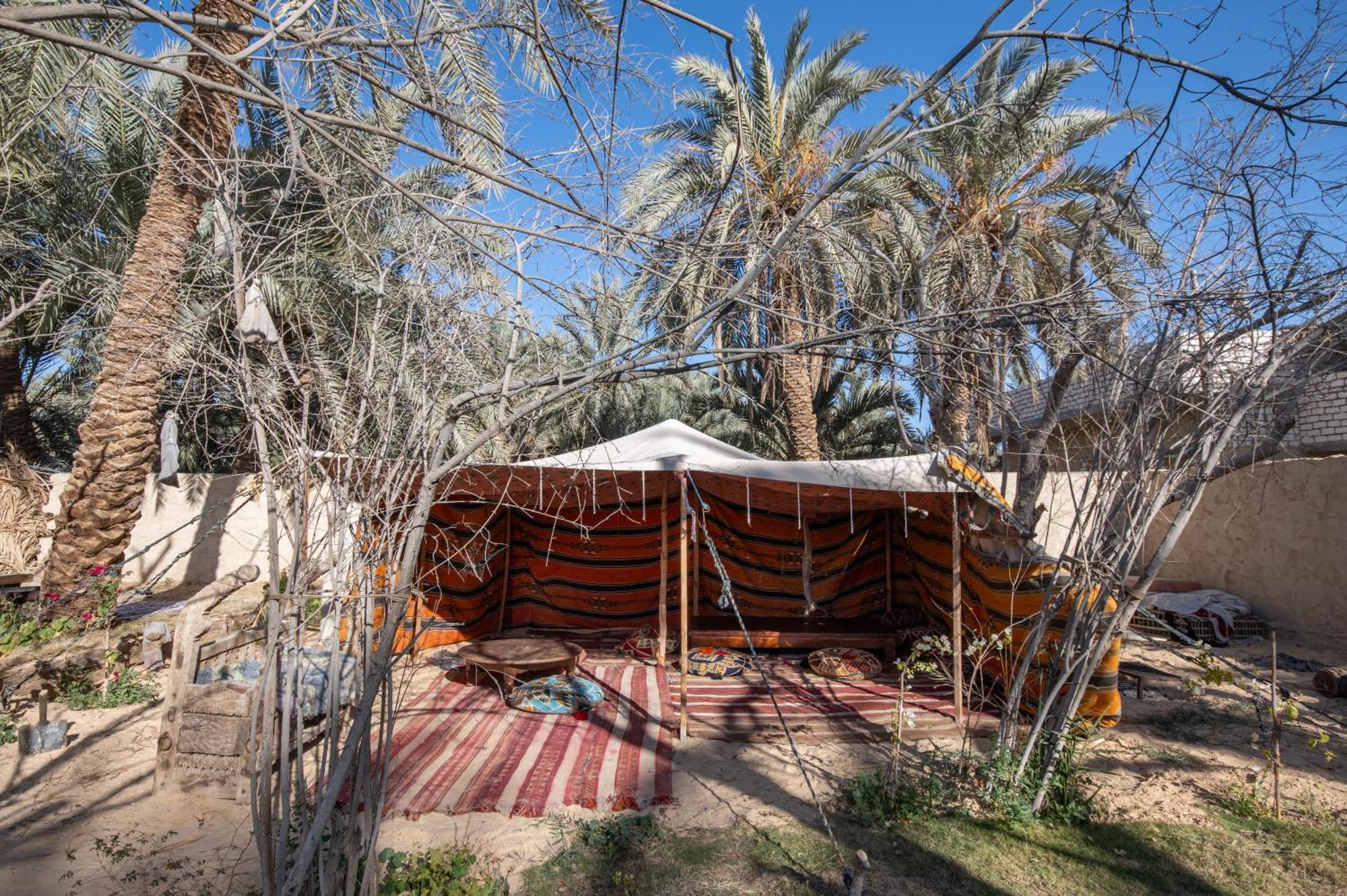 Hostel Olive Garden House Siwa Siwa Oasis Exterior foto