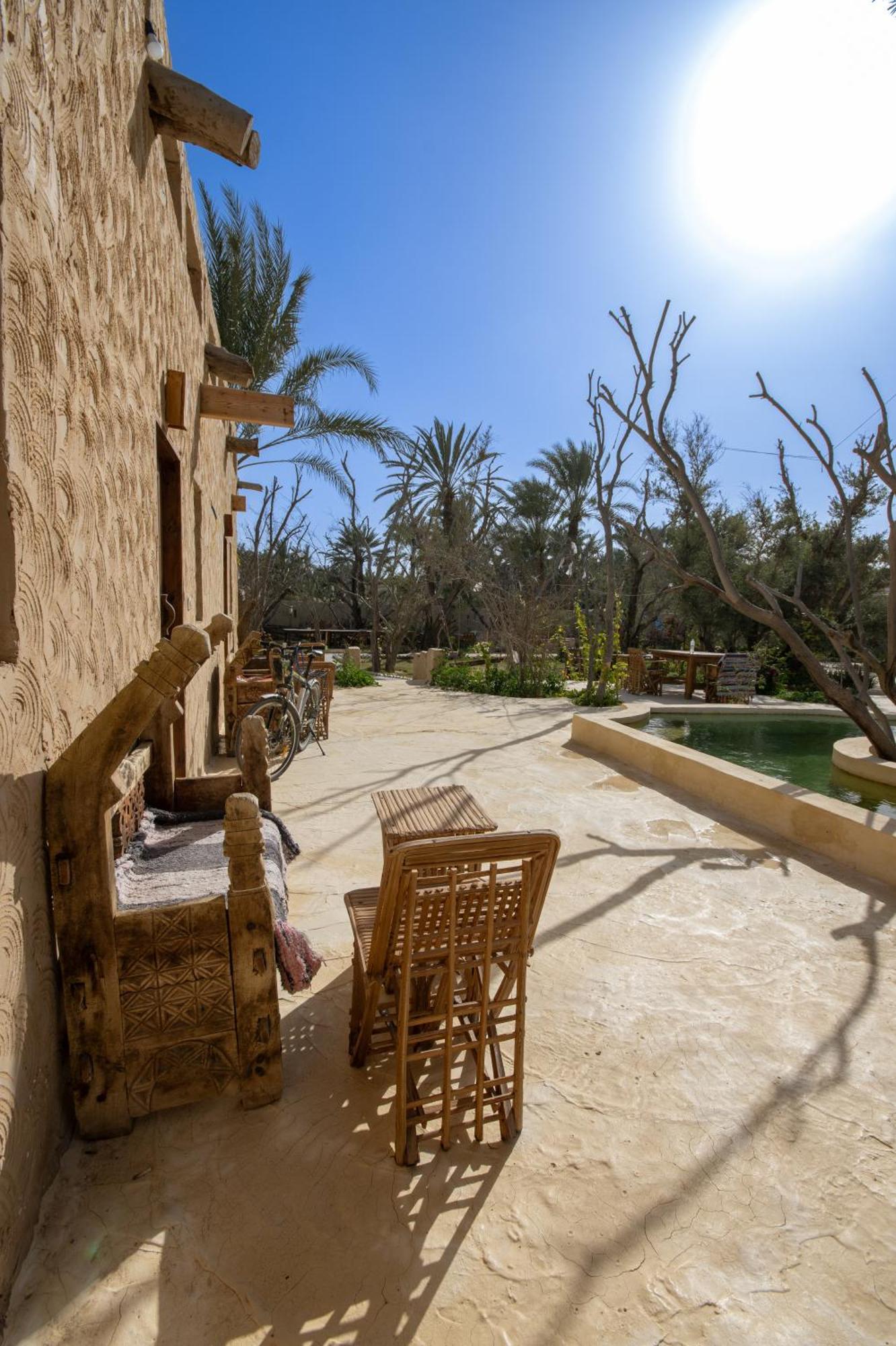 Hostel Olive Garden House Siwa Siwa Oasis Exterior foto