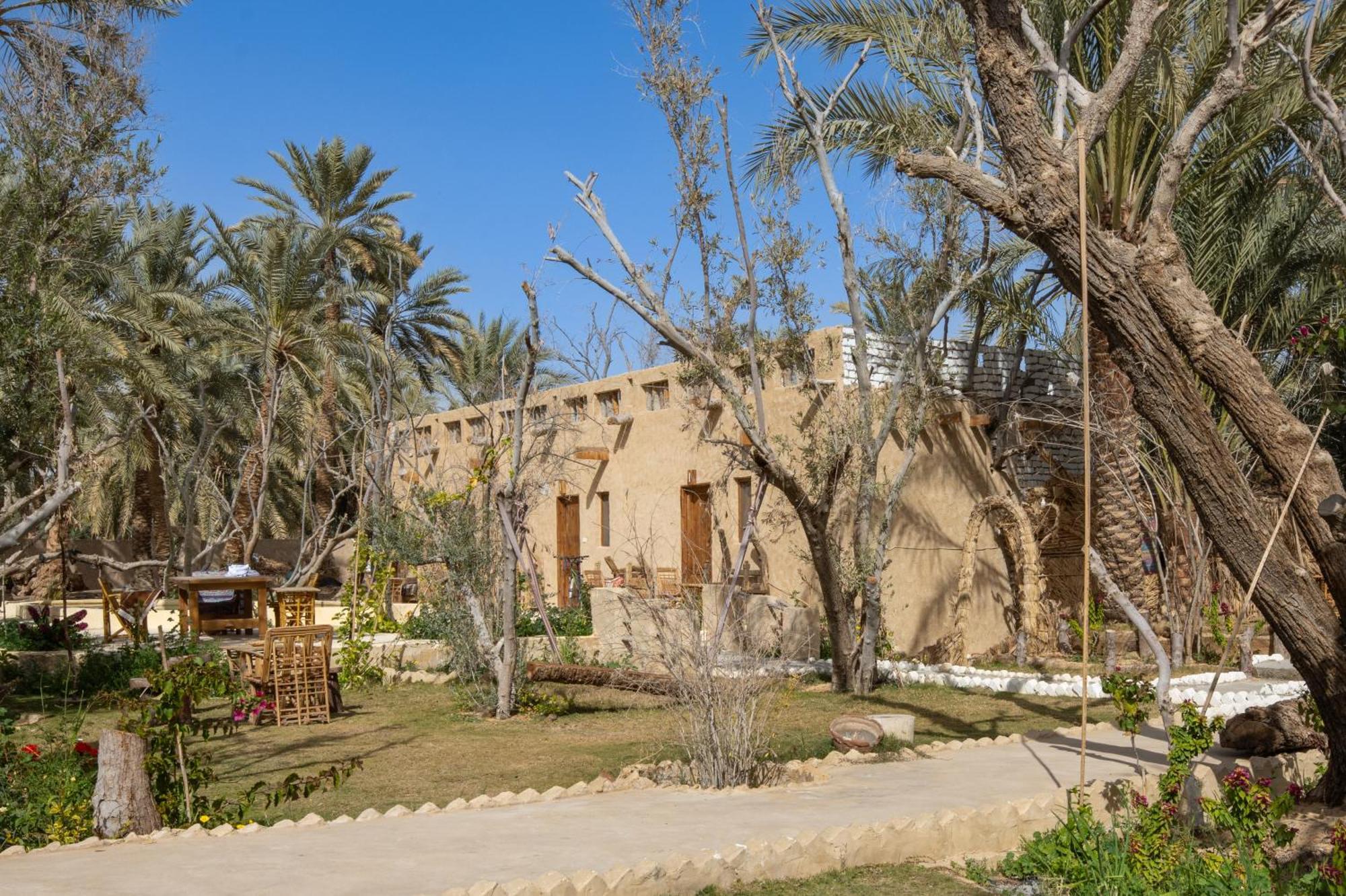 Hostel Olive Garden House Siwa Siwa Oasis Exterior foto