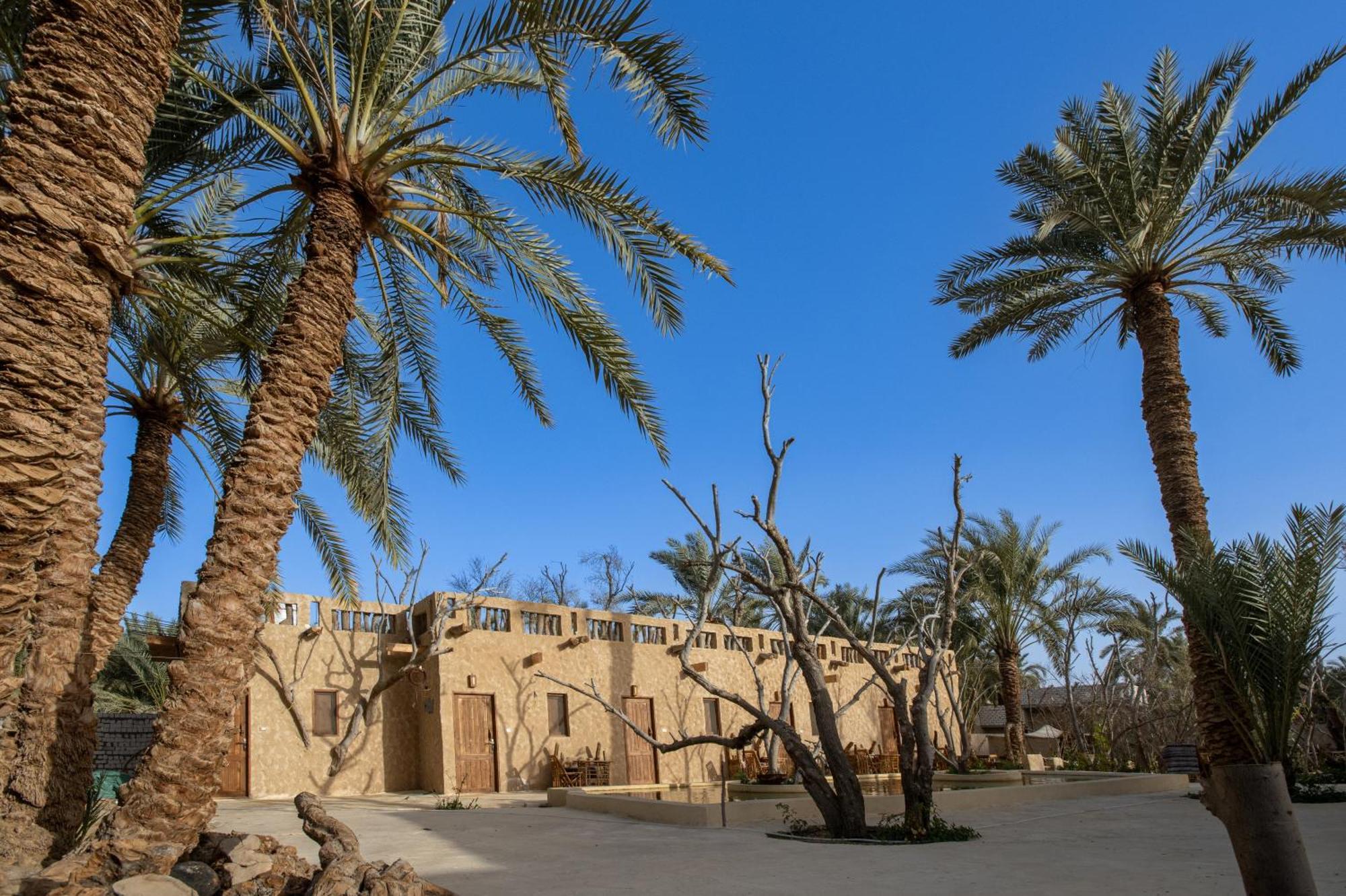 Hostel Olive Garden House Siwa Siwa Oasis Exterior foto