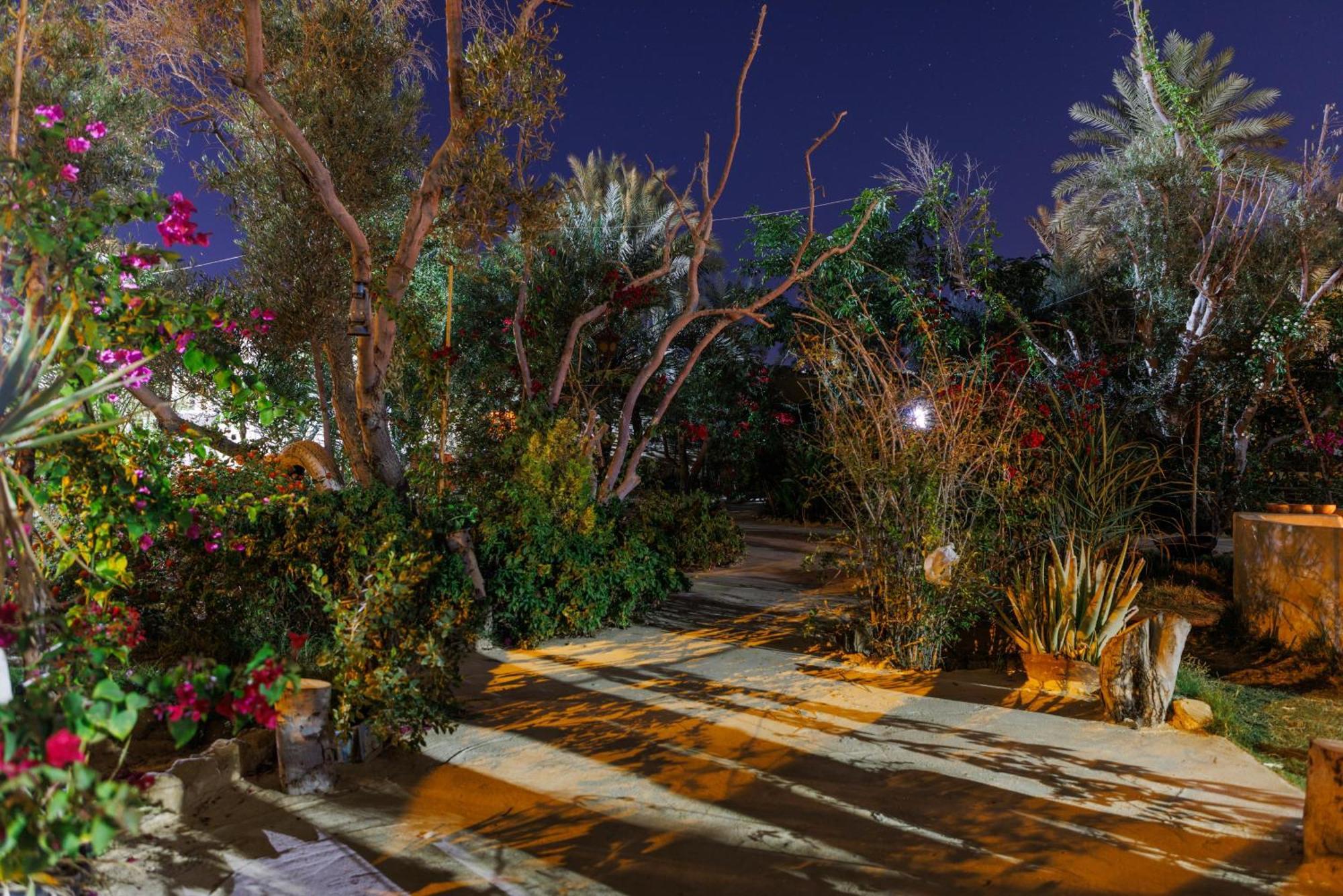 Hostel Olive Garden House Siwa Siwa Oasis Exterior foto
