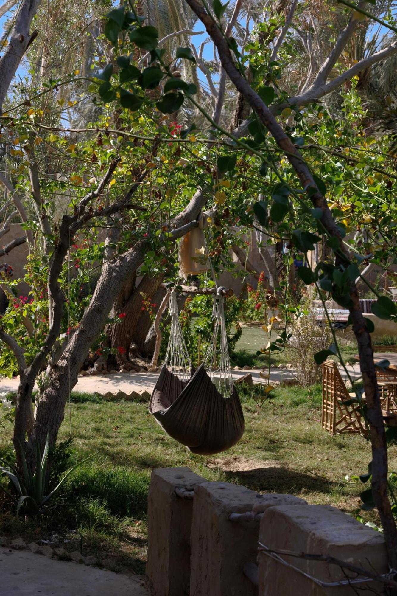 Hostel Olive Garden House Siwa Siwa Oasis Exterior foto
